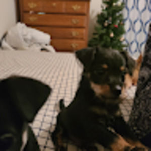 Meet your Posher, Laura